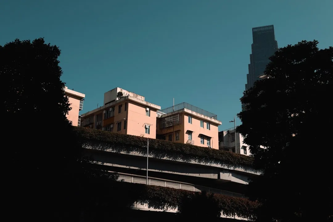 柳州智迪贸易供应链管理优化方案：降低库存压力的实践路径