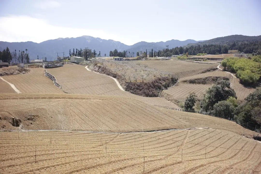 西南地区商贸供应链管理优化方案设计与实施要点