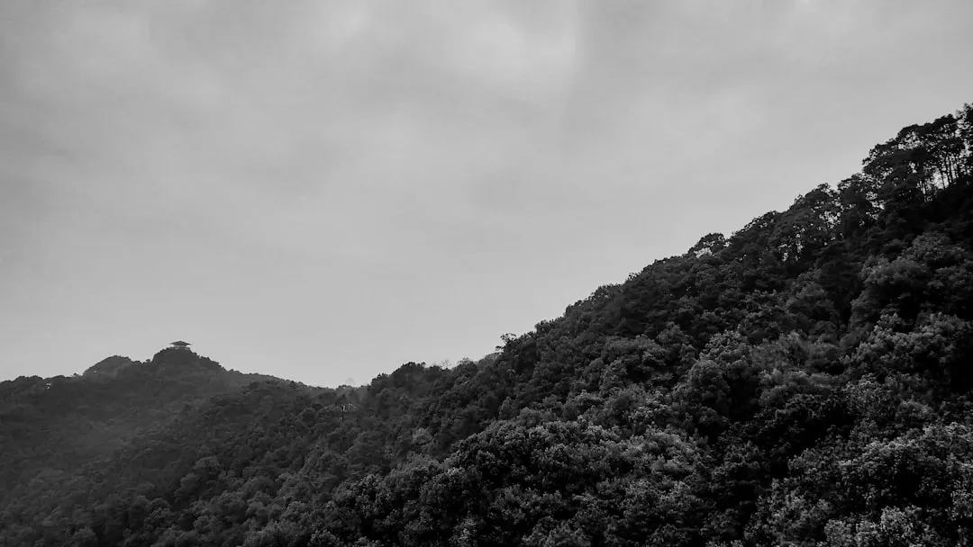 广西商贸企业供应链管理优化路径分析：降低库存压力的实践探索